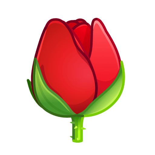 Rose gift